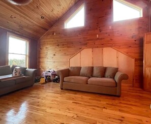 TV, fireplace, DVD player, books