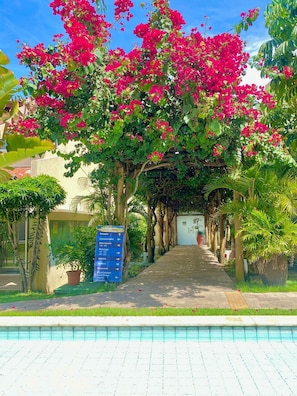 Basic Apartment | Property grounds - Solar água apart (Tibau do Sul)