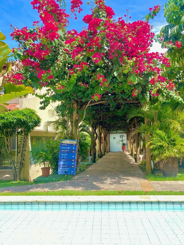 Basic Apartment | Property grounds