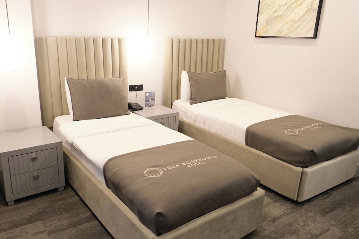 Standard Twin Room | Premium bedding, minibar, in-room safe, laptop workspace