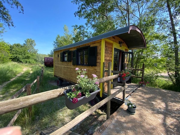 A wooden cabin with a yellow exterior, a covered porch, and potted plants.