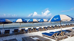 Ein Strand mit Reihen von Liegestühlen und Sonnenschirmen, einem klaren Himmel und dem Ozean im Hintergrund.
