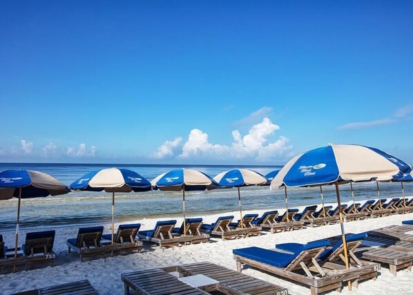 Relax on numbered sun loungers under beach umbrellas, steps from the ocean.