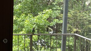 A wooden chair and table with a view of dense green foliage through a window. - A quiet comfortable space in the trees close to all the attractions of Denmark (Denmark)