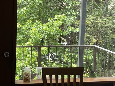 A quiet comfortable space in the trees close to all the attractions of Denmark