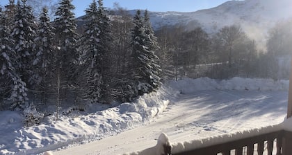 Appartemen Ă 200 m des pistes de ski Station Des Monts D'Olmes, Montferier