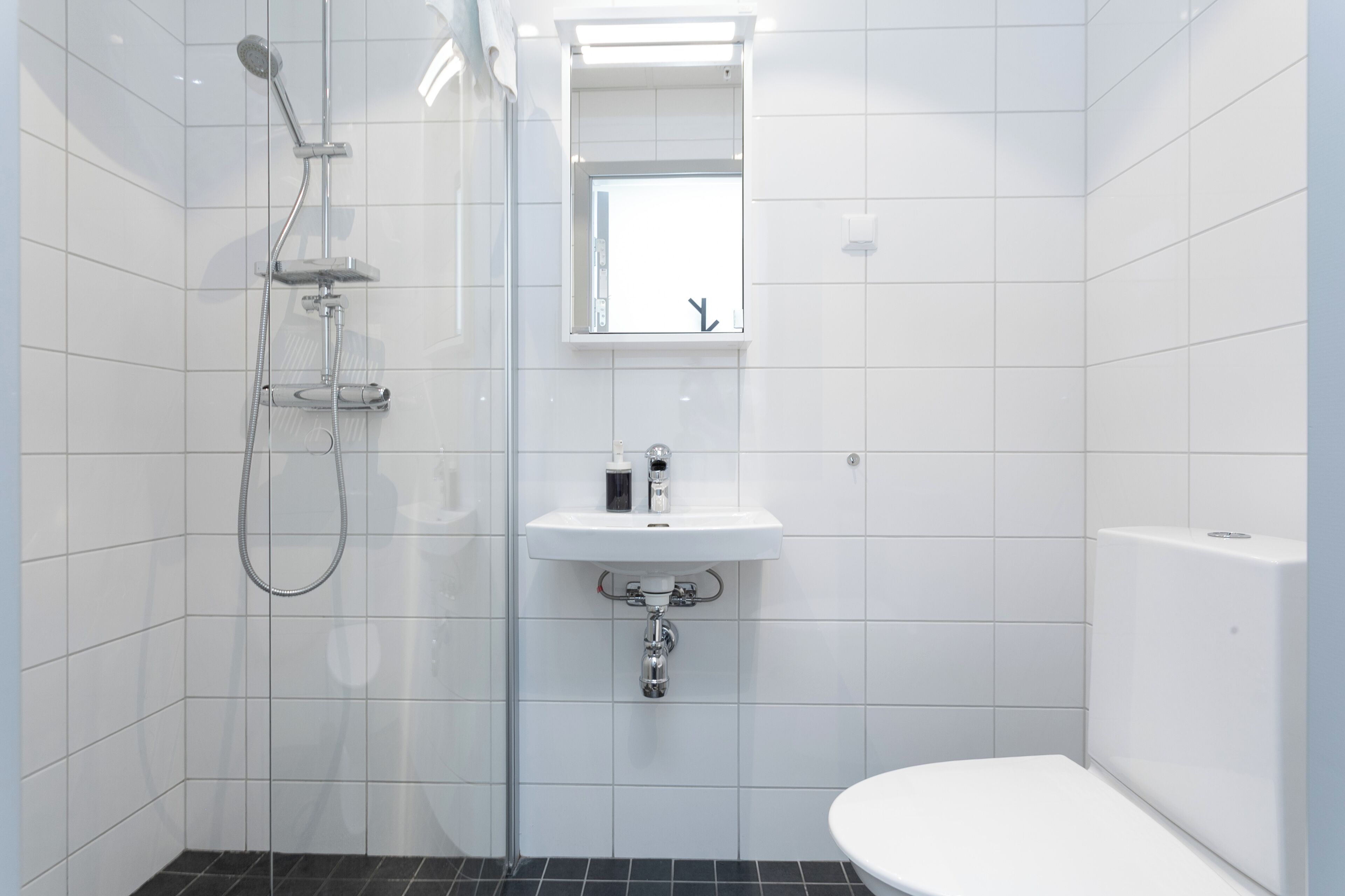 Een moderne badkamer met een douchecabine van glas, een witte wastafel met spiegel erboven en een wit toilet.