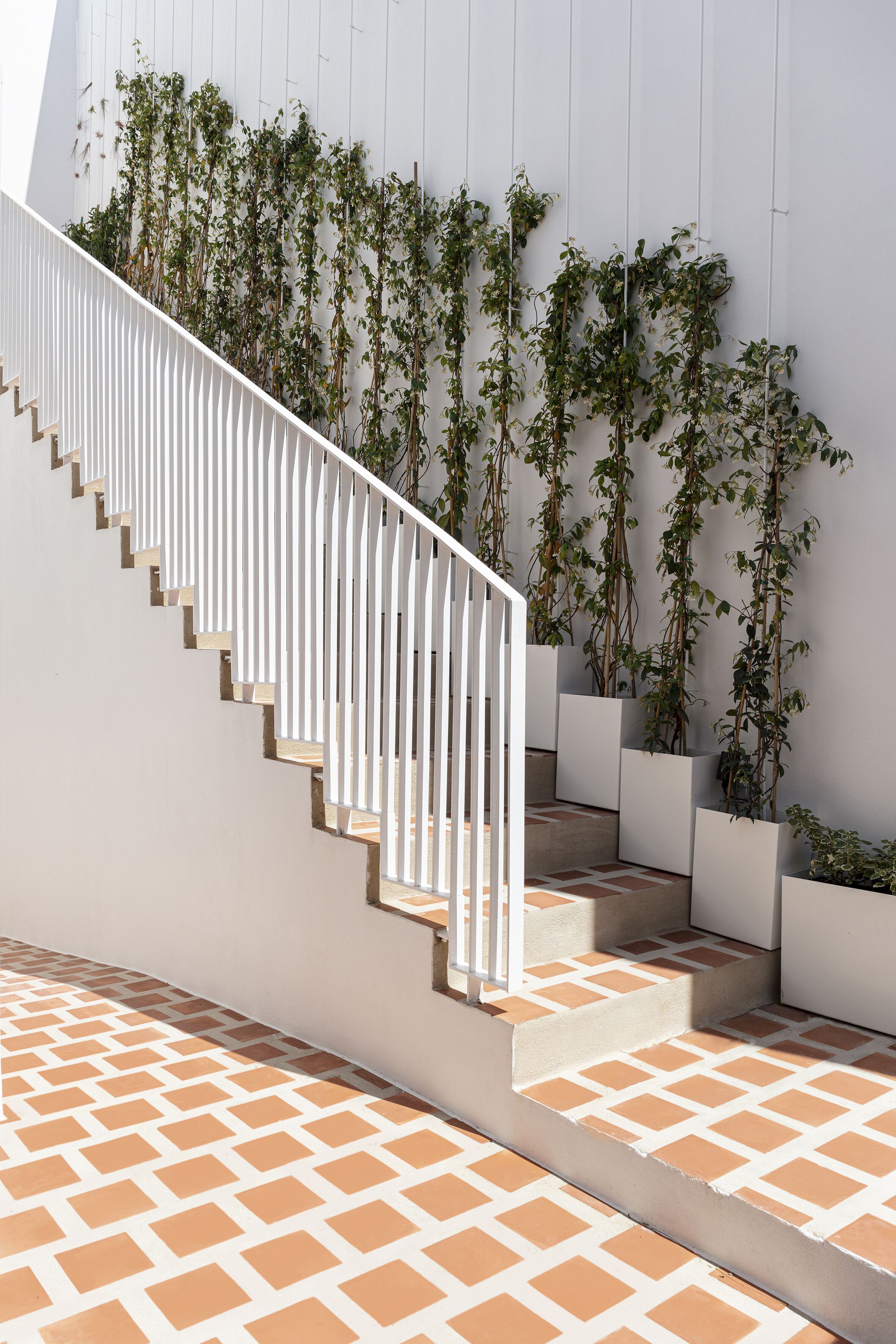 Foto - Ethos Vegan Suites Fira, Santorini