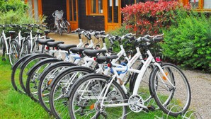 En rad cyklar står uppradade framför en byggnad, med en grusgång och grönska runt omkring.