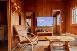 TV connectée, cheminée