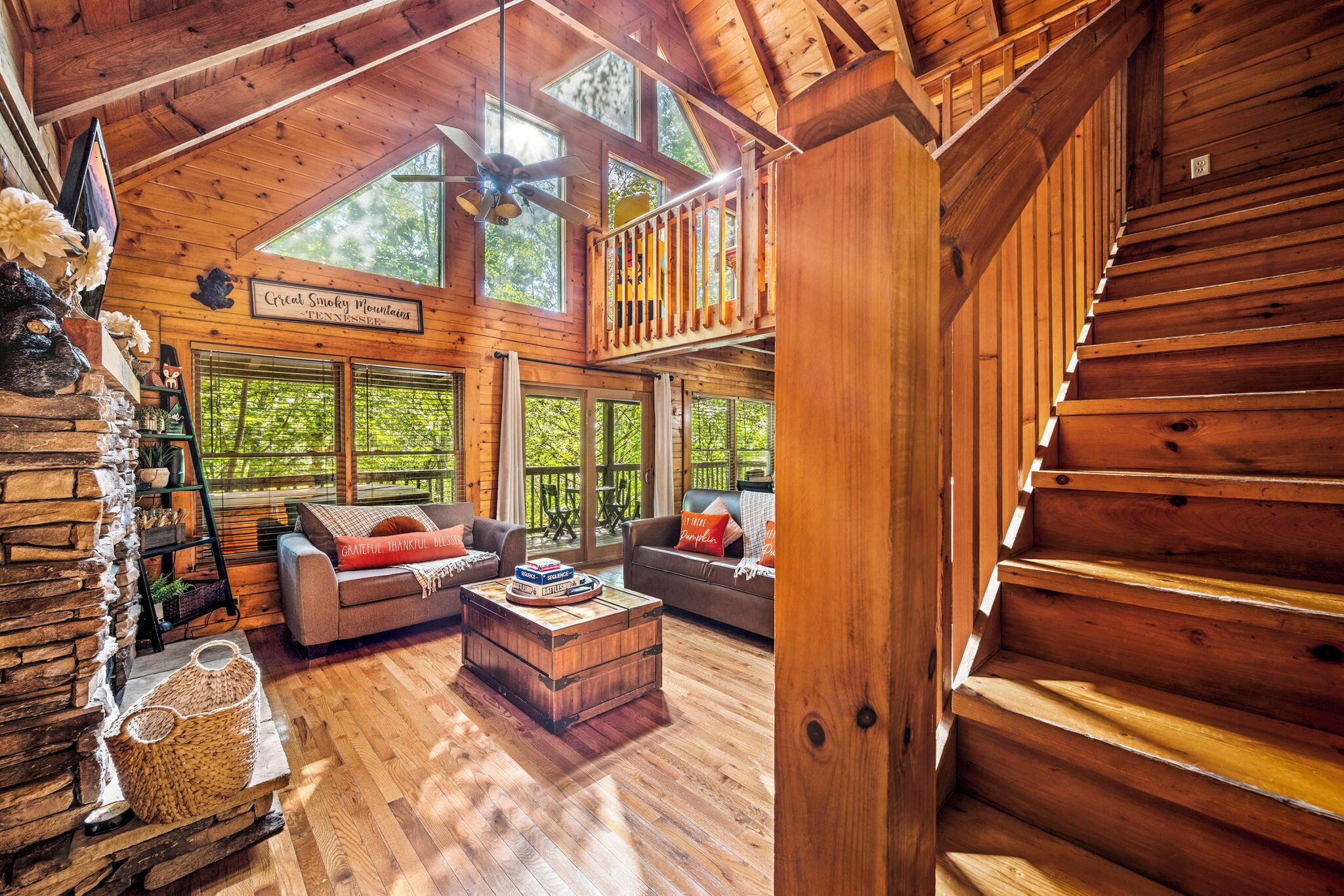 智能电视、壁炉、电子游戏、DVD 播放器