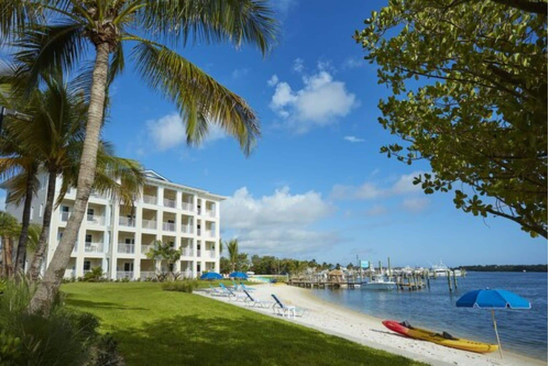 Un hotel frente a la playa con piscina, palmeras y un muelle.