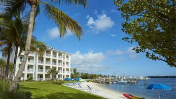 Un hotel frente a la playa con piscina, palmeras y un muelle.