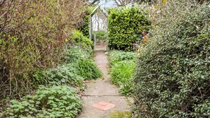 A narrow stone pathway flanked by dense shrubbery and trees, leading to a rustic wooden structure. - A lovely traditional Norfolk barn conversion in the heart of the coastline. (Sidestrand, near Cromer)