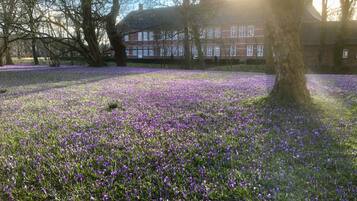 Overnattingsstedets uteområder
