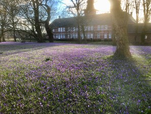 Parco della struttura