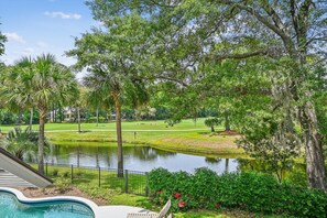 Property grounds - 20 Red Maple ~ Located on Golf Course in Sea Pines with Private Pool (Hilton Head Island)