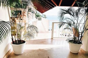 テラス / パティオ