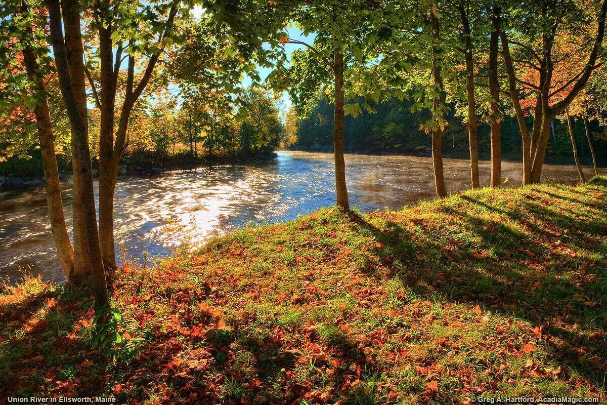 Un río con árboles y el reflejo del sol en el agua.