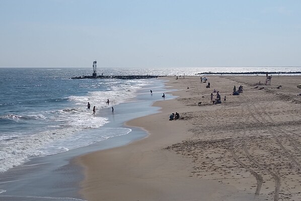 Playa en los alrededores 