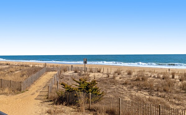 بالقرب من الشاطئ