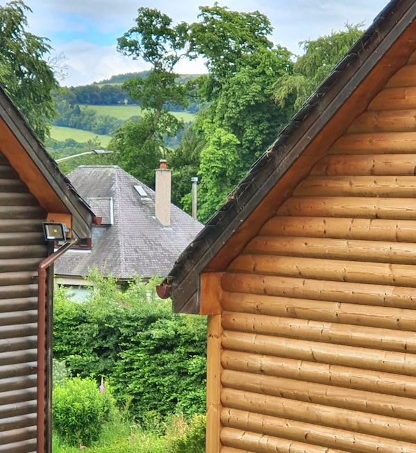 On aperçoit une cabane en bois avec un toit en pente, entourée d’une végétation luxuriante, et au loin, une maison avec un toit gris.
