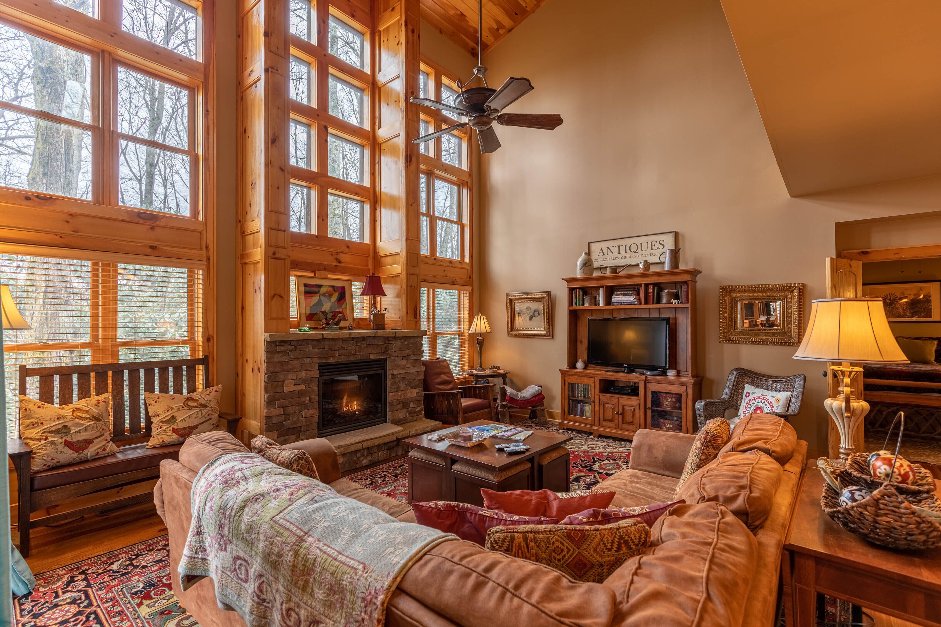 Televisión, chimenea y tenis de mesa 