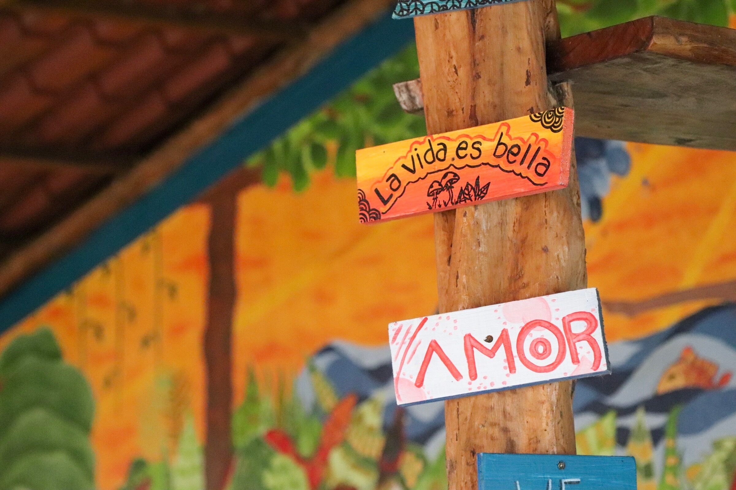 Foto - TamaHostel & Glamping