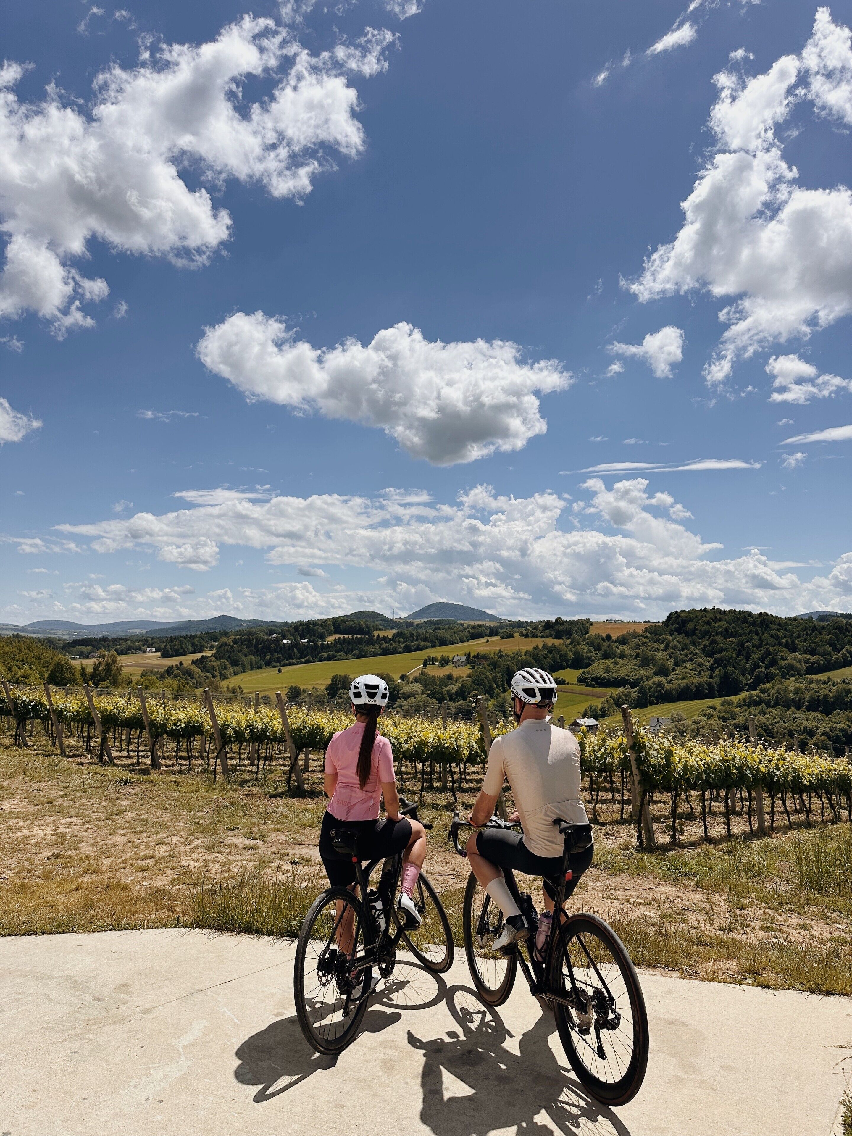 Dos personas en bicicleta contemplando un viñedo bajo un cielo despejado.