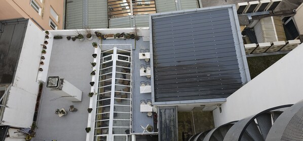 Una terraza en la azotea con plantas en macetas, una escalera de metal y un ventanal grande.