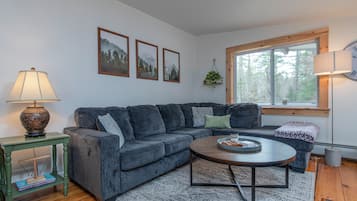 Smart TV, fireplace, books