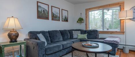 Smart TV, lareira, livros