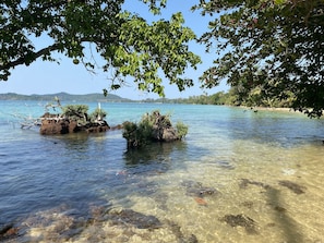 Strand