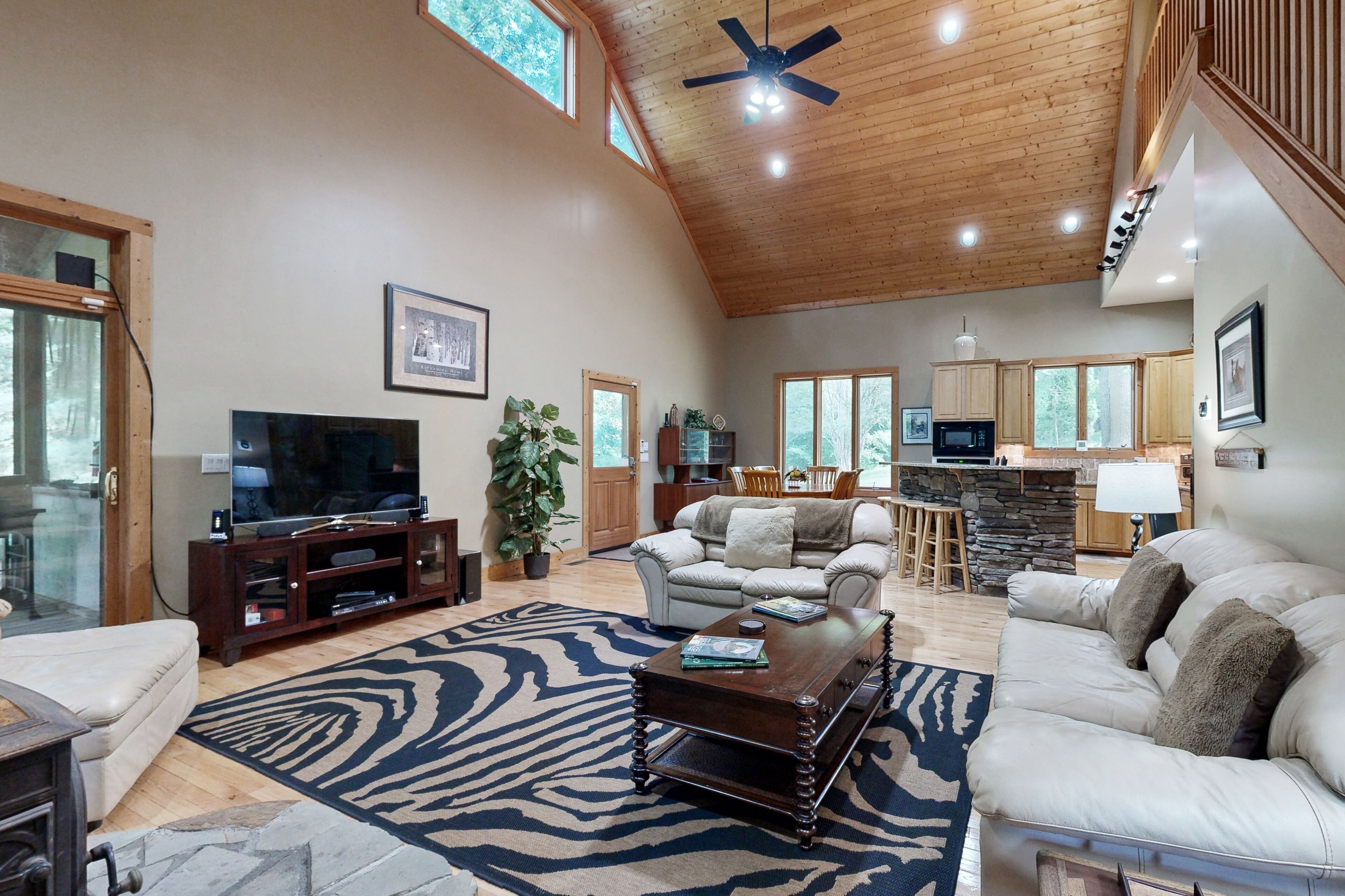 Télévision, cheminée, livres