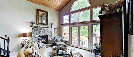 Televisión, chimenea, reproductor de DVD, libros