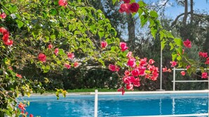 Un espace aménagé au bord de la piscine, offrant une vue dégagée sur celle-ci, et entouré d’une végétation luxuriante et de fleurs roses en pleine floraison.