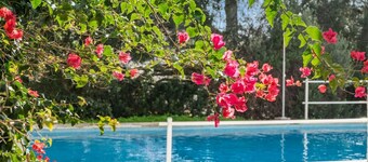 Apt. Cap Roig - 350 mts from beach, Free AC & WiFi