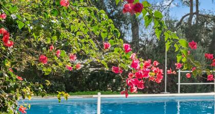 Apt. Cap Roig - 350 mts from beach, Free AC & WiFi