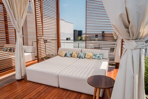 Terras