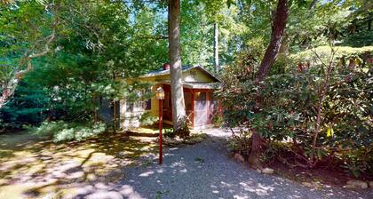 Updated home near Black Mountain with screened porch