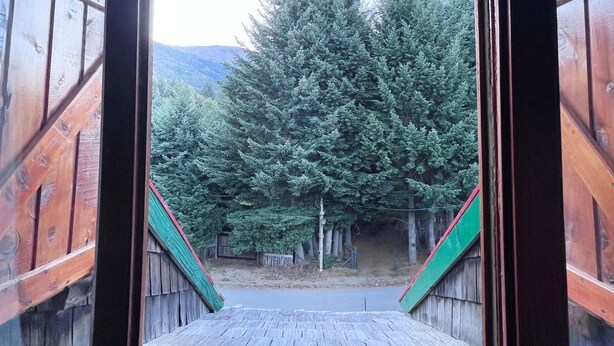 Blick von einem Holzbalkon mit Holzboden und grünen Geländern auf ein bewaldetes Gebiet mit hohen Nadelbäumen.