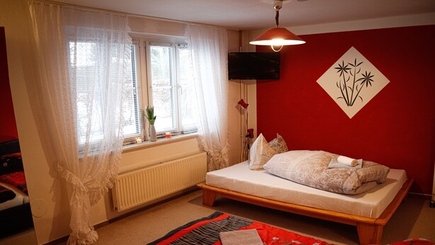 A bedroom with a bed, a window with curtains, a radiator, a TV, and a wall decoration.