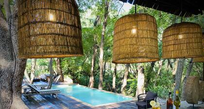 Nature and Wildlife Resort