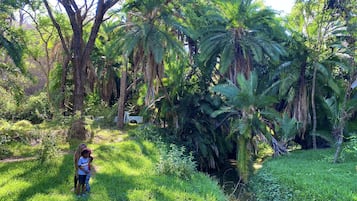 Área da propriedade