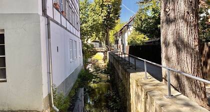 Vacation home "Zur Abzuchtinsel" - 4 stars - 85sqm - climate - in the middle of the city
