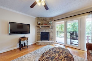 TV, fireplace
