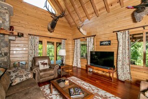 TV, fireplace, DVD player, books