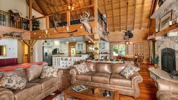 TV, fireplace, DVD player, books
