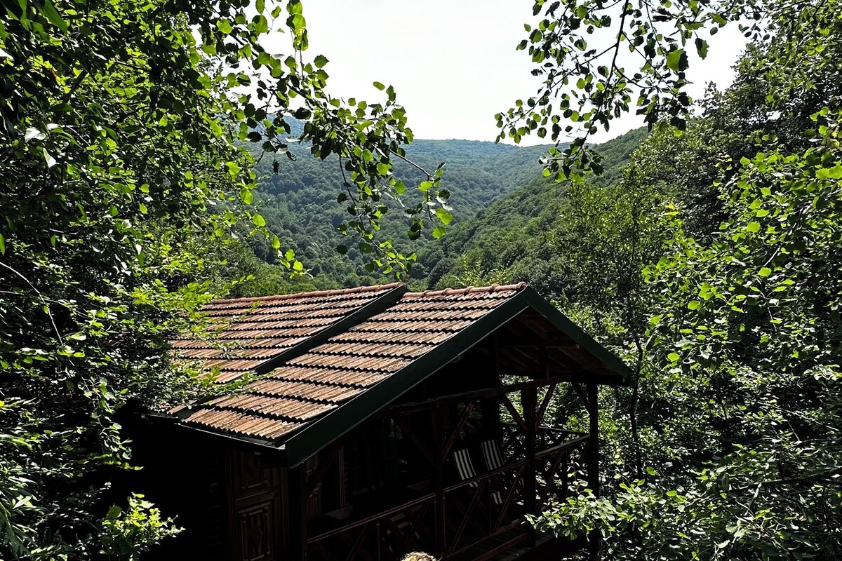 Eine hölzerne Treppe führt zu einer rustikalen Holzhütte mit Ziegeldach, umgeben von üppiger Vegetation und einer gebirgigen Kulisse.