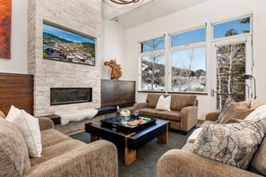 Televisión, chimenea, reproductor de DVD